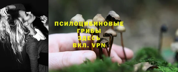 mdpv Магадан